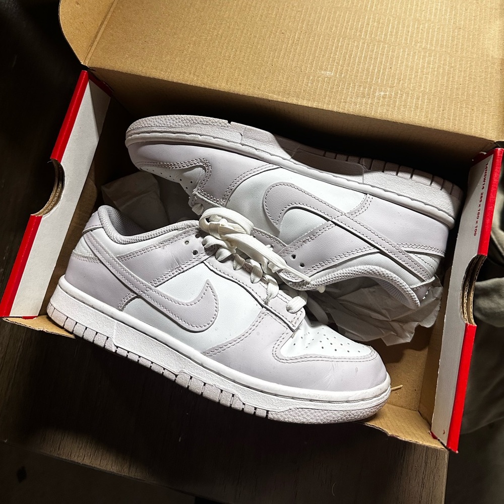Nike dunks Venice unisex